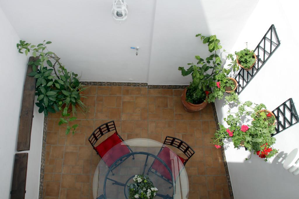 Apartamentos San Fernando 76 Kordoba Bagian luar foto